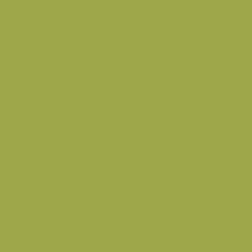 Pure Solids - Dark Citron - PE-414 - AGF