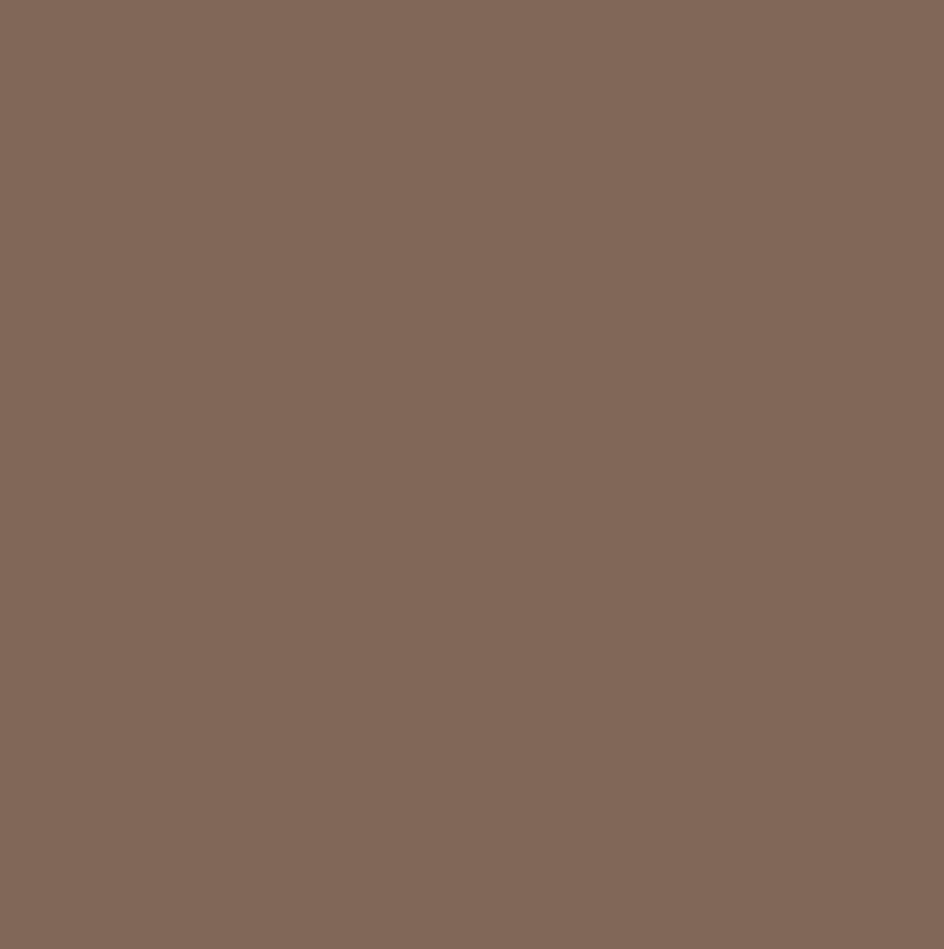 Pure Solids - PE581 Nutmeg - AGF New color 2024