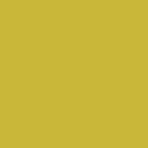 Pure Solids - Olive oil - PE-515 - AGF
