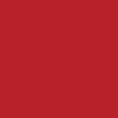 Pure Solids - Ruby - PE-490 - AGF