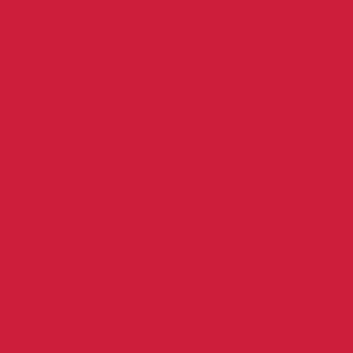 Pure Solids - Undeniably Red  PE-537 - AGF * New color*