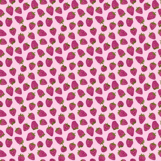 Lazy Sunday - Snack attack - Berry - DPJ2895 - Fast shipping - Pammie Jane - Dear Stella