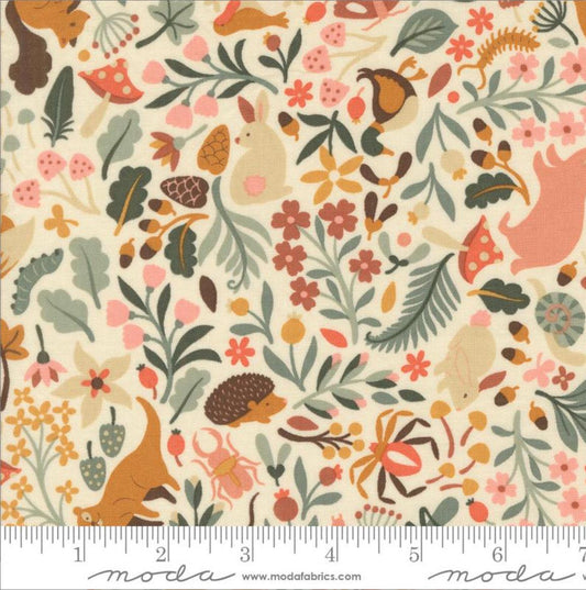 Acorn Hollow Ecru 30760 11 | In stock - BasicGrey - fall - autumn