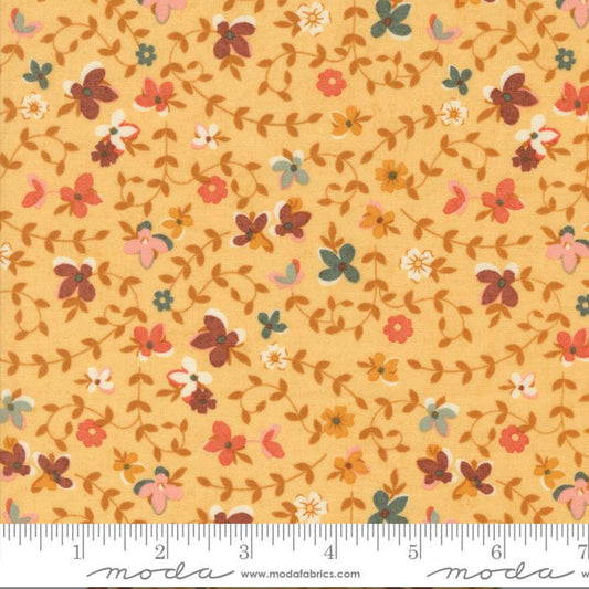 Acorn Hollow Maize 30761 12 | In stock - BasicGrey - fall - autumn