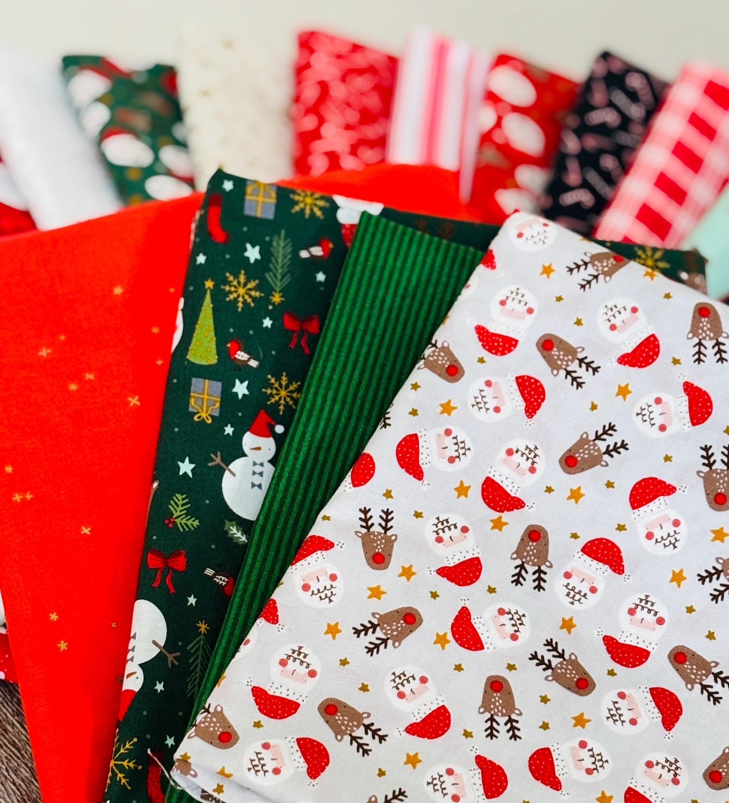 Christmas Lane bundle plus blenders 20 Fat Quarters - RJR Studios - Holiday stripe - santa - robin - holiday classics - candy cane
