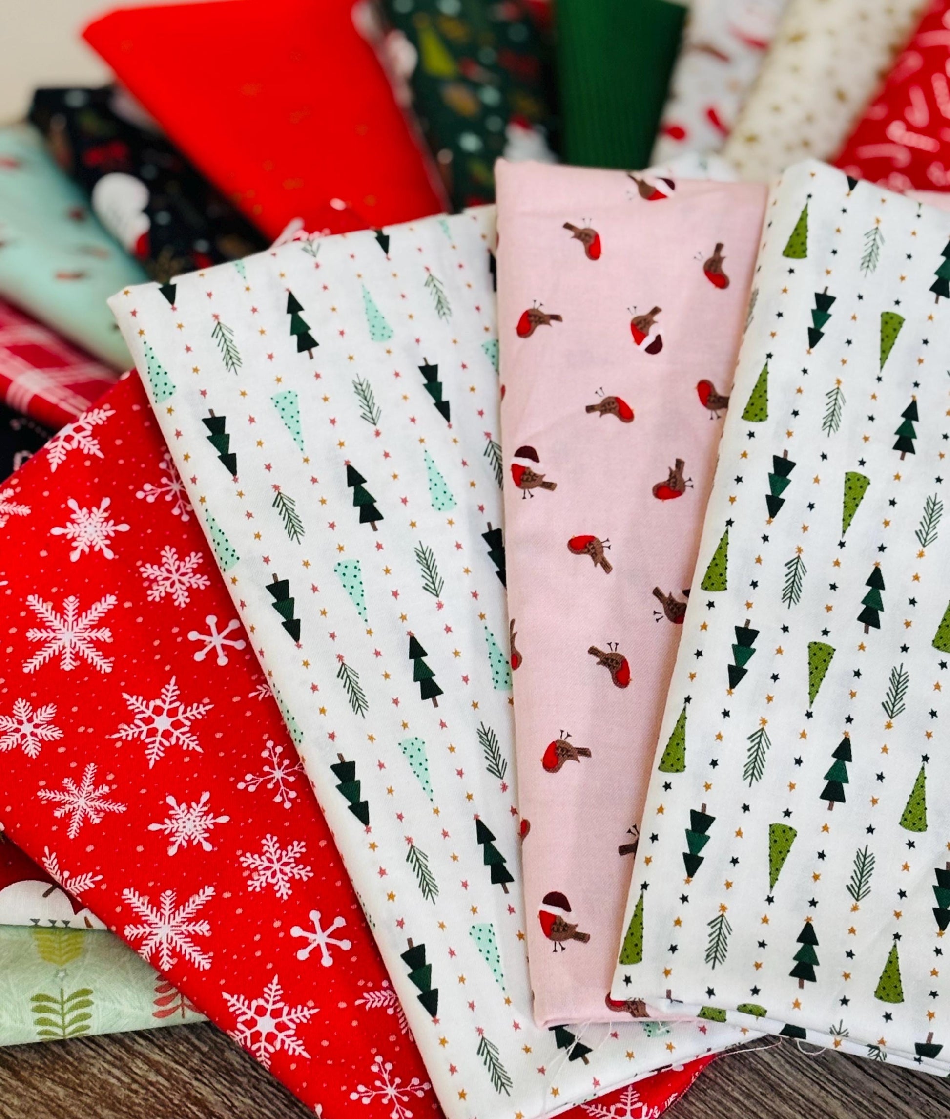 Christmas Lane bundle plus blenders 20 Fat Quarters - RJR Studios - Holiday stripe - santa - robin - holiday classics - candy cane