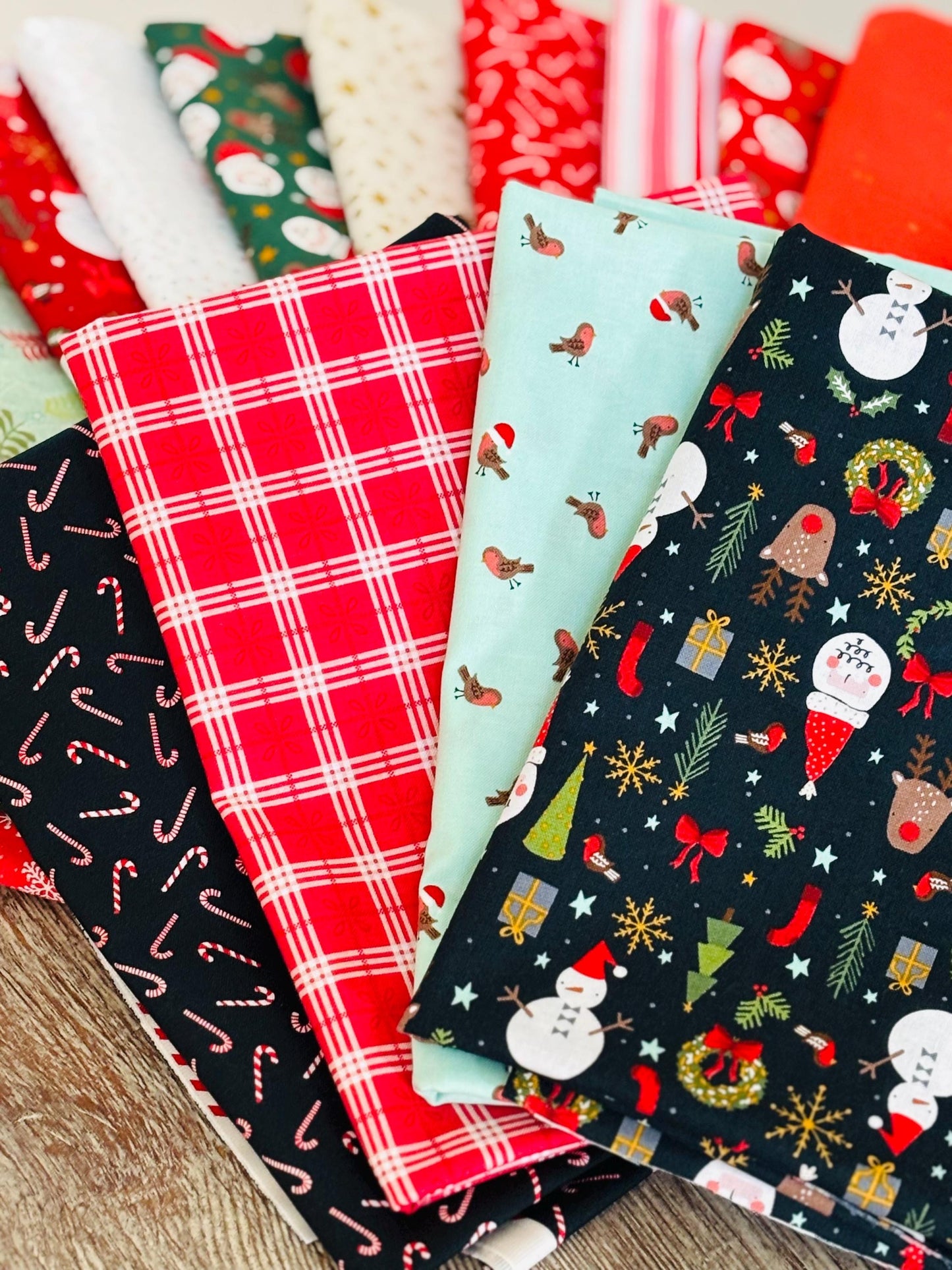 Christmas Lane bundle plus blenders 20 Fat Quarters - RJR Studios - Holiday stripe - santa - robin - holiday classics - candy cane
