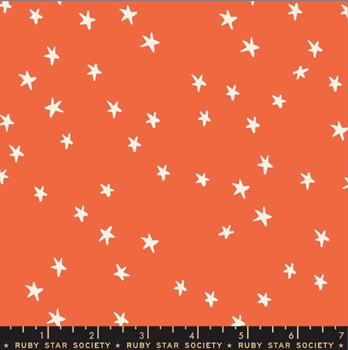 Starry Dark nutmeg RS4109 42 Ruby Star society | In stock - Alexia Abegg