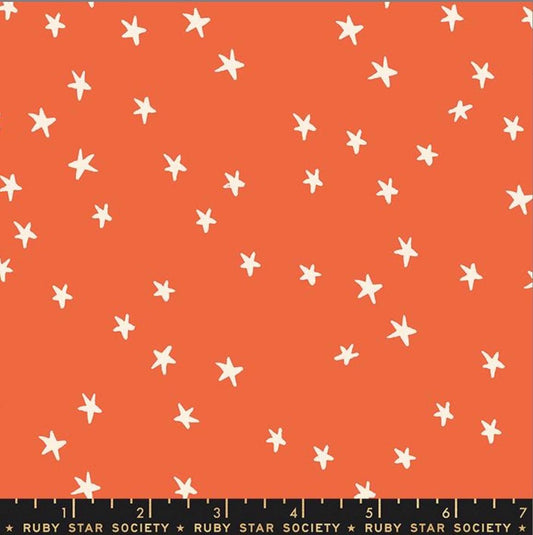 Starry Dark nutmeg RS4109 42 Ruby Star society | In stock - Alexia Abegg