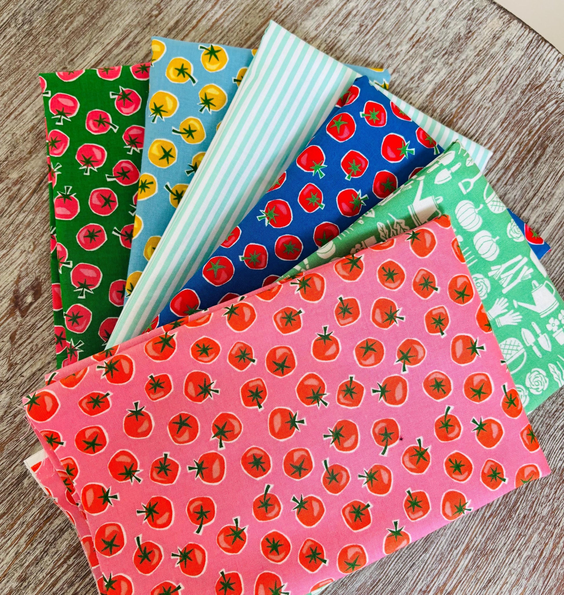 Tomato overload - 6 FQ - in the vegetable garden - AGF - cotton and steel