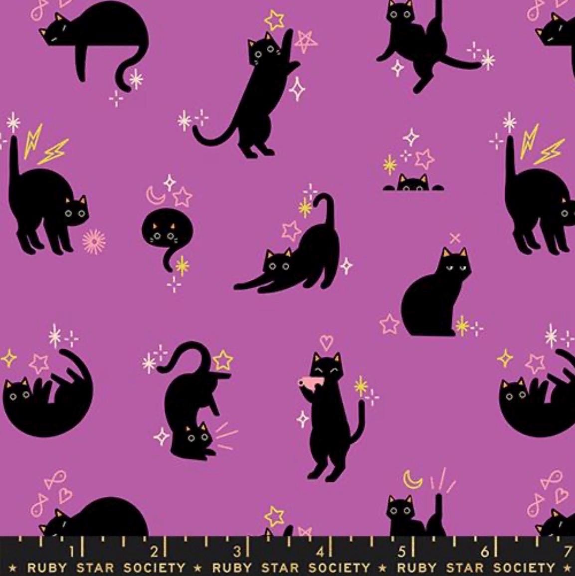Preorder ** Freaky Familiars Witchy purple cat RS5193 13 Ruby Star collaboration shipping June 2026 catwalk