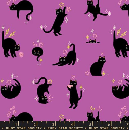 Preorder ** Freaky Familiars Witchy purple cat RS5193 13 Ruby Star collaboration shipping June 2026 catwalk